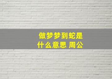 做梦梦到蛇是什么意思 周公